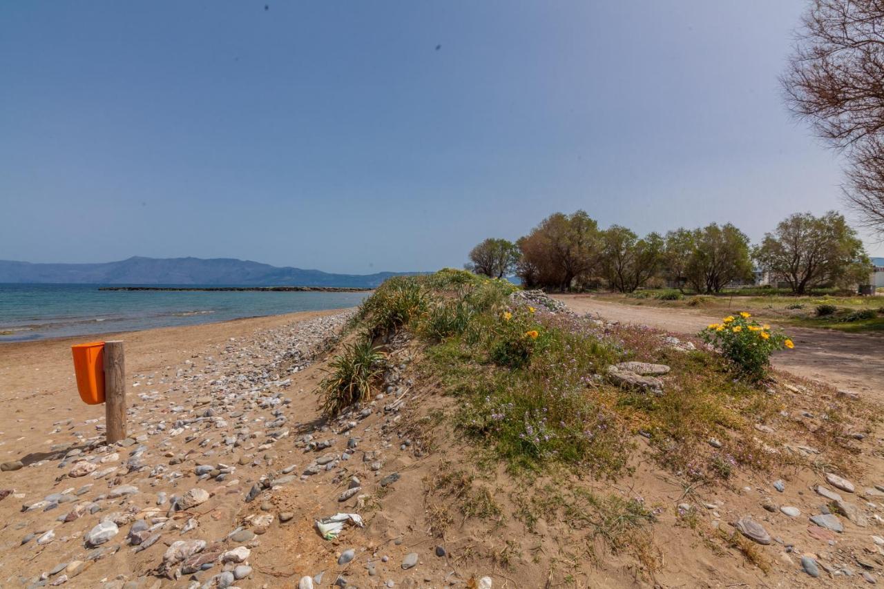 Kissamos Sea View Beach Apartments Екстер'єр фото